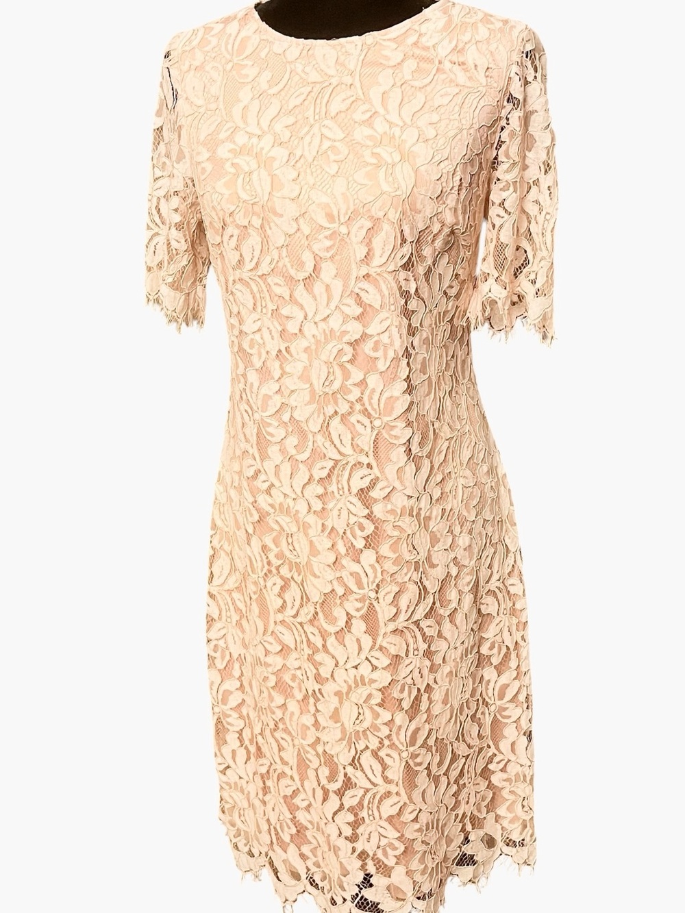 Vince Camuto Blush Lace Midi Dress